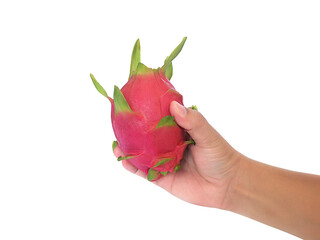 Male hand holds ripe dragon fruit on white background