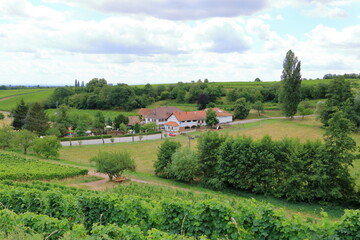Fototapeta na wymiar View from the vineyards around the villages rhodt unter rietburg, Hainfeld, Burrweiler, Weyher, Edenkoben, Edesheim on the german wine route in the palatinate