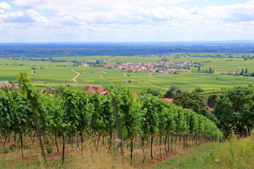 Fototapeta na wymiar View from the vineyards around the villages rhodt unter rietburg, Hainfeld, Burrweiler, Weyher, Edenkoben, Edesheim on the german wine route in the palatinate