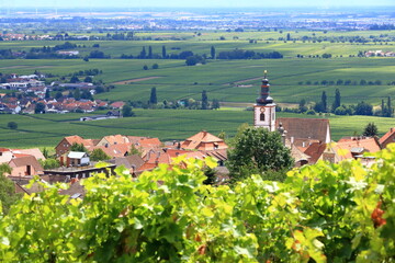 View from the vineyards around the villages rhodt unter rietburg, Hainfeld, Burrweiler, Weyher,...