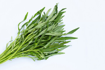 Fototapeta premium Morning glory on white background.