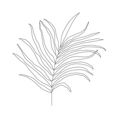 Minimalism line drawing. leaf vector one line art. Botanical Sketch Vector Illustration. Nature vector Line drawing. for home decor such as posters, wall art