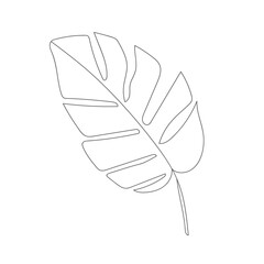 Minimalism line drawing. leaf vector one line art. Botanical Sketch Vector Illustration. Nature vector Line drawing. for home decor such as posters, wall art