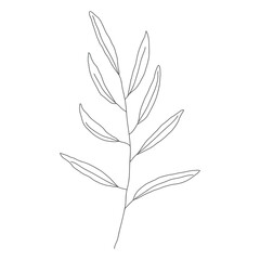 Minimalism line drawing. leaf vector one line art. Botanical Sketch Vector Illustration. Nature vector Line drawing. for home decor such as posters, wall art