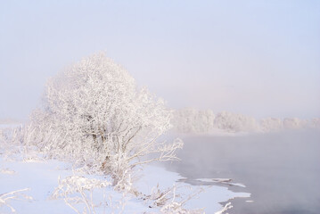 Hoarfrosty trees, Moscow region, Russia