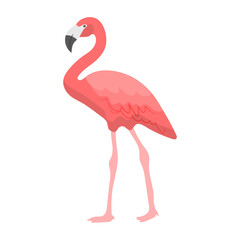 Flamingo concept vector color icon design, Mexican culture symbol on White background, Customs and Traditions Signs, cinco de Mayo federal holiday elements 