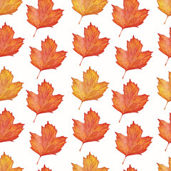 Naklejka na ściany i meble Watercolor seamless pattern with autumn viburnum leaves on a white background. Viburnum leaves in yellow red and orange shades.
