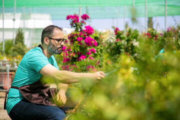 Caucasian gardener watering plants from hose and squatting. Concentrated bearded garden worker wearing uniform and glasses and working in hothouse. Gardening activity and summer concept