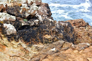 Rocks with oil spill from the sinking of oil tanker MV Prestige in 2002. Costa da Morte Region 18 years after, Camariñas, Coruña, Galicia, Spain.