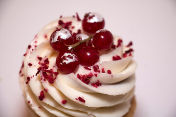 
Cupcake with cream and red currants on a white background