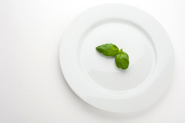 Two basil leafs on a white plate. Studio photo isolated on white background.