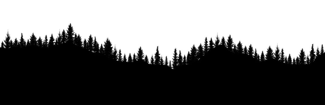 Silhouette of forest. Beautiful spruce (fir) trees on hill. Forest background . Vector illustration