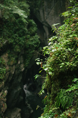 Hiking in Dachstein mountains (Dachsteingebirge)