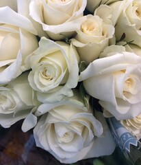 bouquet of white roses