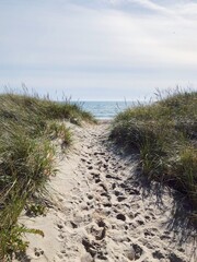 Fototapeta na wymiar sandy pathway to the ocean