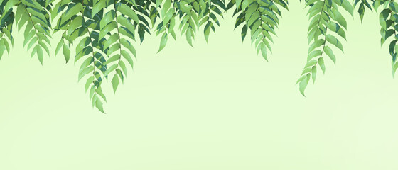 Natural Green backgrounds leaves banners horizontal tropical  and Concept,web banner ,health care products, aroma, wedding invitation,copy space,poster, greeting cards - 3d rendering