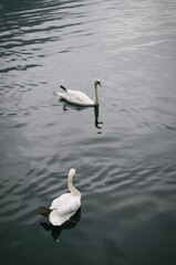 Hiking in Dachstein mountains (Dachsteingebirge)