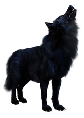 3D Rendering Black Wolf on White