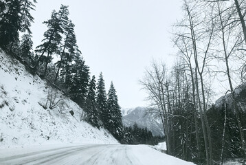 Coniferous snowy forest in the Rocky Mountains. The road between tall spruce trees and mountain peaks in snowy weather. Natural winter background. British Columbia, Canada