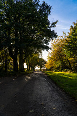 Fototapeta na wymiar Roads in the morning during Autumn Season.