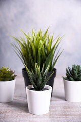 Artificial flowers grass different form in a pot on wooden background close up with copy space and text