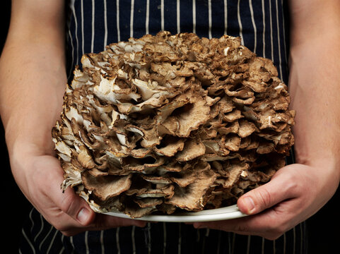 'Hen of the woods'