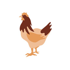 The silhouette of a chicken consists of multi-colored segments. Agriculture.