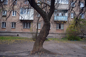 Modern ghetto. Bad district. Residential area in Kiev at autumn. Exterior. Kiev,Ukraine