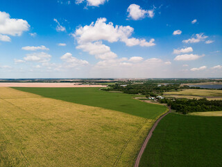 Top view of corn and sunflower fields in Russia