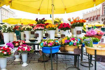 Street flower shop. Flowers in vases on the street