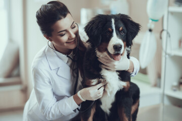 Woman veterinarian hugs the dog and smiles. 