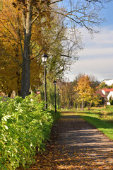 Alleys and lamps in autumn, carpets of yellow, brown and red leaves.
