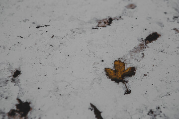 City life. Views of the city and suburbs. Over the mountains by car.