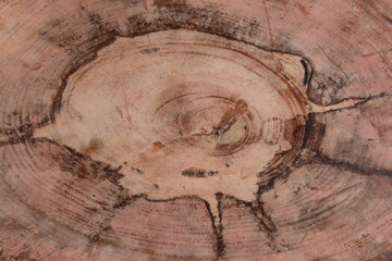 Detail of brown rustic wood texture. Background.