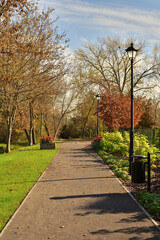 Fototapeta premium Alleys and lamps in autumn, carpets of yellow, brown and red leaves.