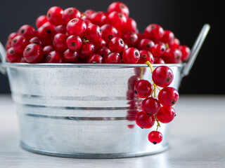 A metal basin filled with red currants