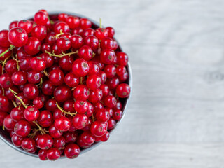 A metal basin filled with red currants