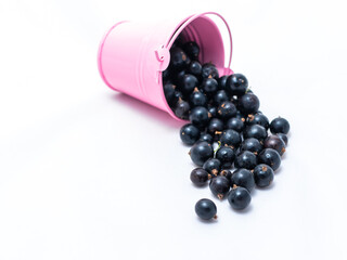 A pink bucket on a white background from which black currants are poured