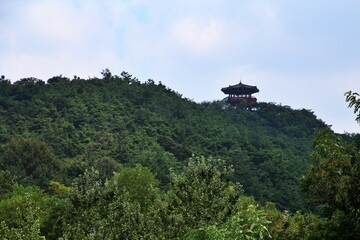 the top of the mountain