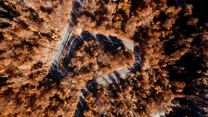 Aerial view of curvy road in beautiful autumn forest at sunset. Top view of roadway with autumn colors.