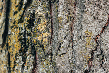 Textures. Things we usually don't notice.