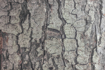 Textures. Things we usually don't notice.