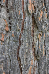 Obraz premium Textures. Things we usually don't notice.