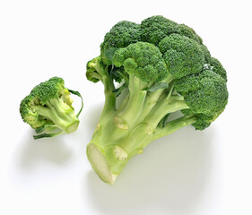 Fresh broccoli on a white background