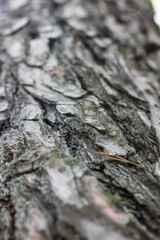 Textures. Things we usually don't notice.