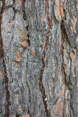 Textures. Things we usually don't notice.