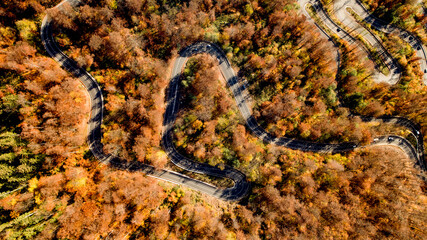 Stunning aerial view of road with curves crossing dense forest in autumn colors