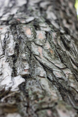 Textures. Things we usually don't notice.