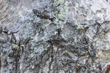 Textures. Things we usually don't notice.