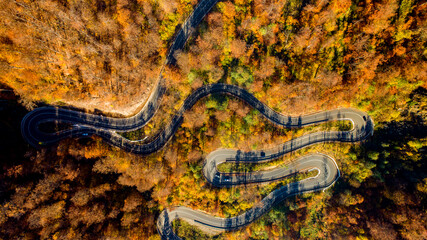 Obraz premium Drone's view Aerial landscape of road with traffic, rural road, autumn trees with yellow and orange leaves. .
